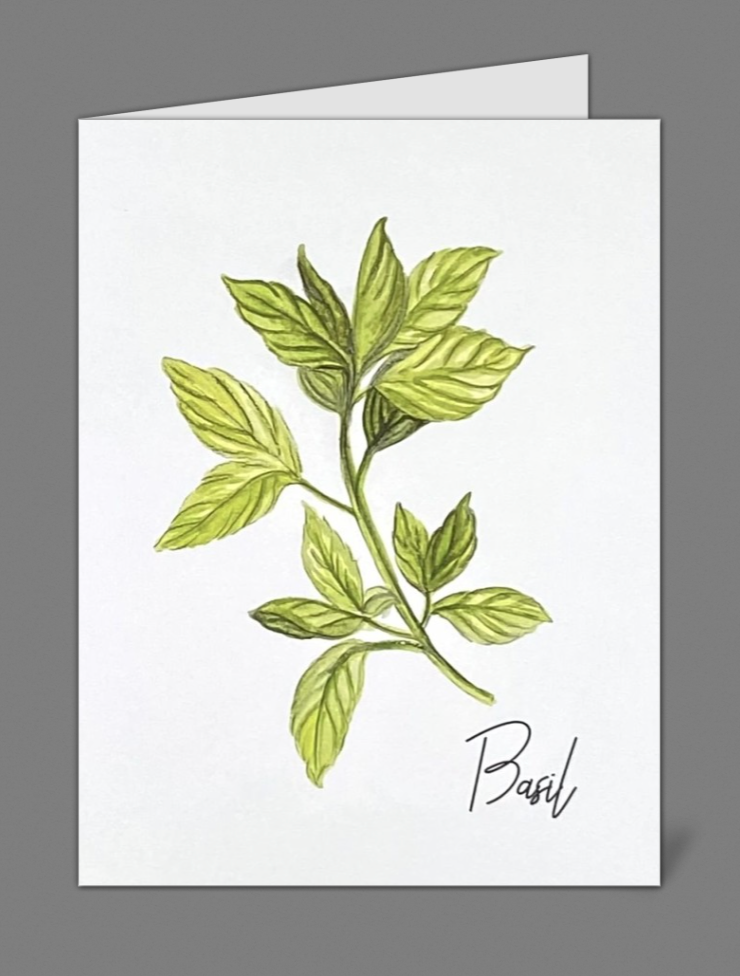 "Herbs Series" Muli-pack Notecards