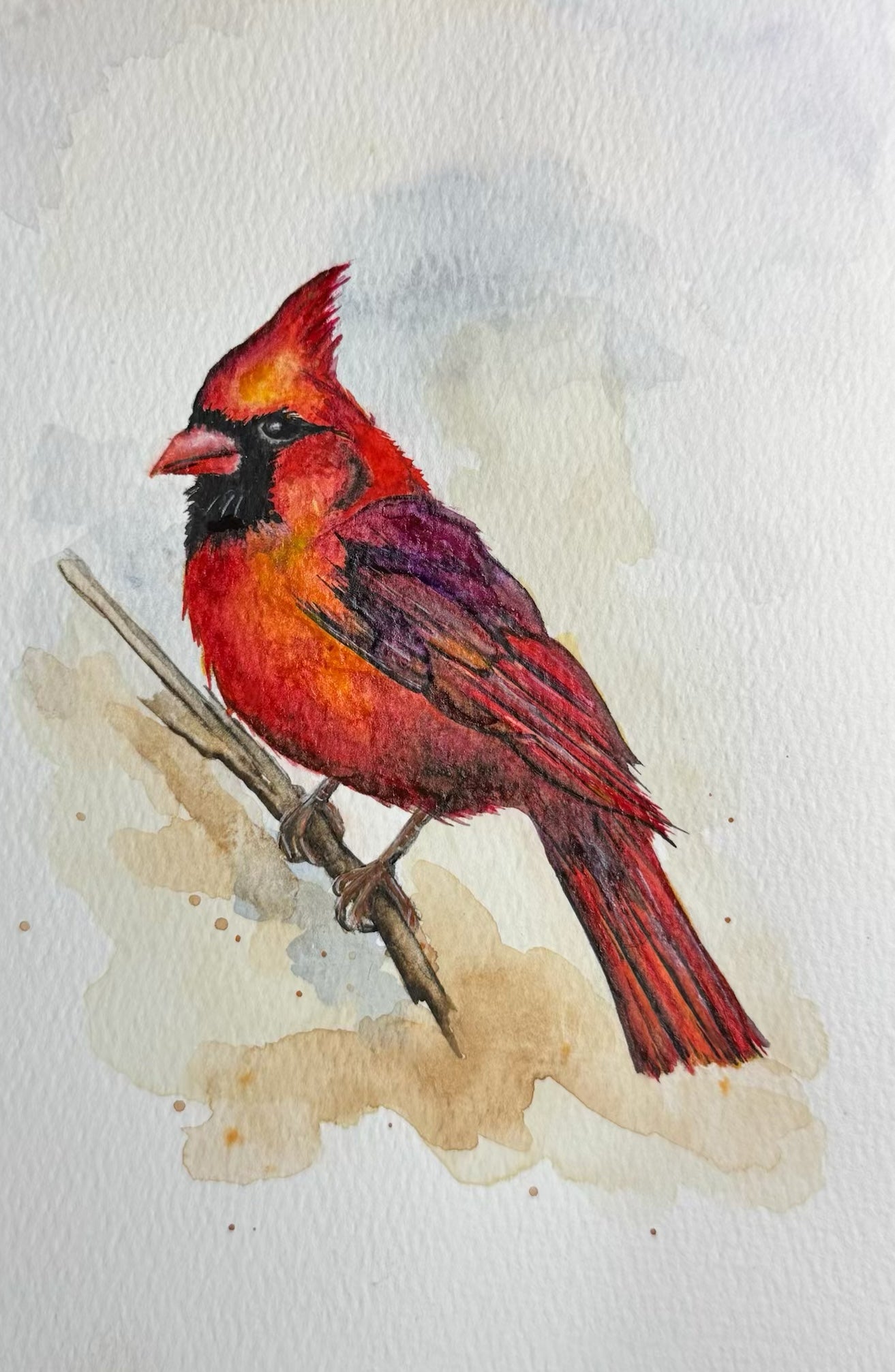 "Cardinal's Watch" Signed Watercolor Print with 1" Border