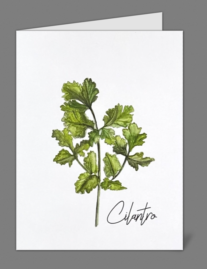 "Cilantro" Notecards