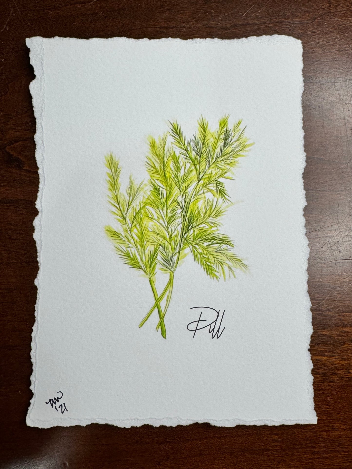 "Dill" watercolor 5x7 print (torn edges)