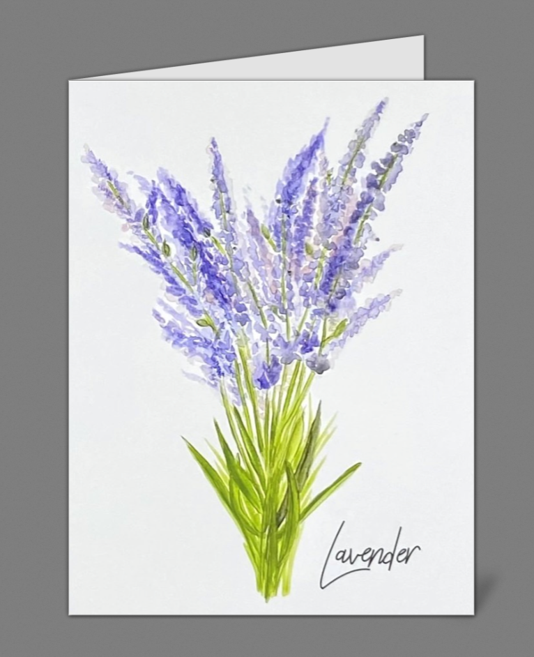 "Herbs Series" Muli-pack Notecards