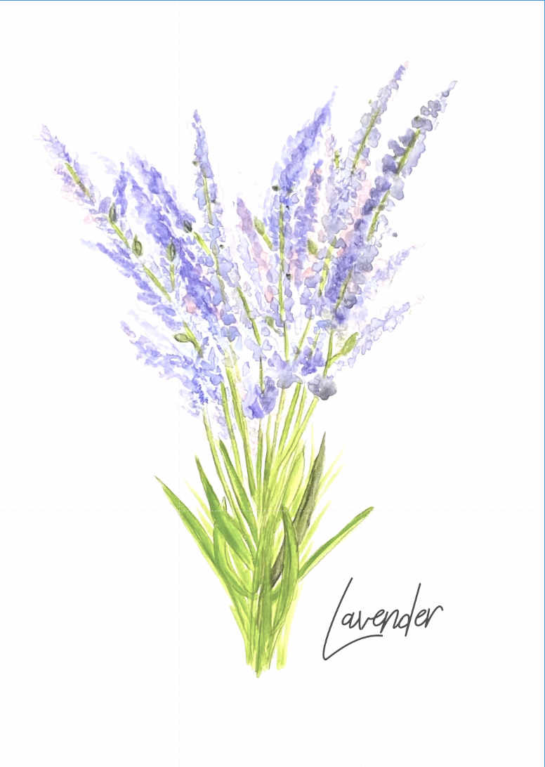 "Herbs Series" collection of 5 watercolor, 5x7 prints