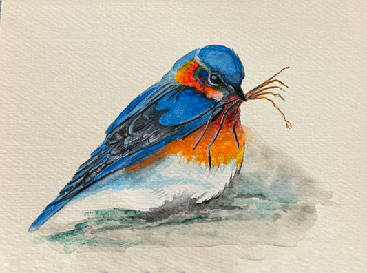 "Bluebird Nesting" Print with 1" border