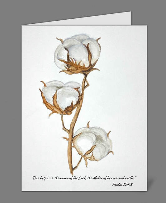 "Cotton Bolls" Notecards