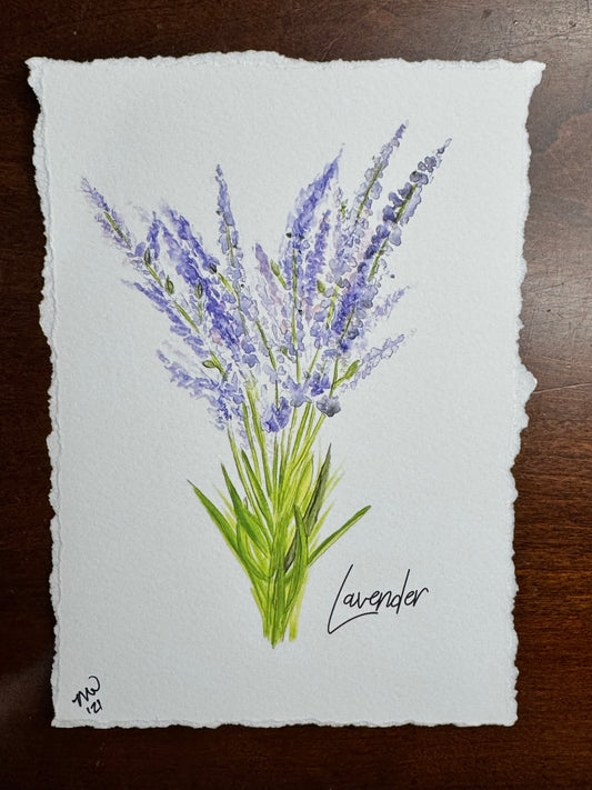 "Lavender" watercolor 5x7 print (torn edges)
