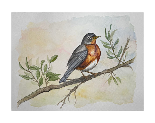 "Spring's First Robin" Signed Watercolor Print by Mickie West