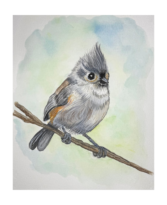 "Nature's Little Muse" (Tufted Titmouse) Signed Watercolor Print by Mickie West